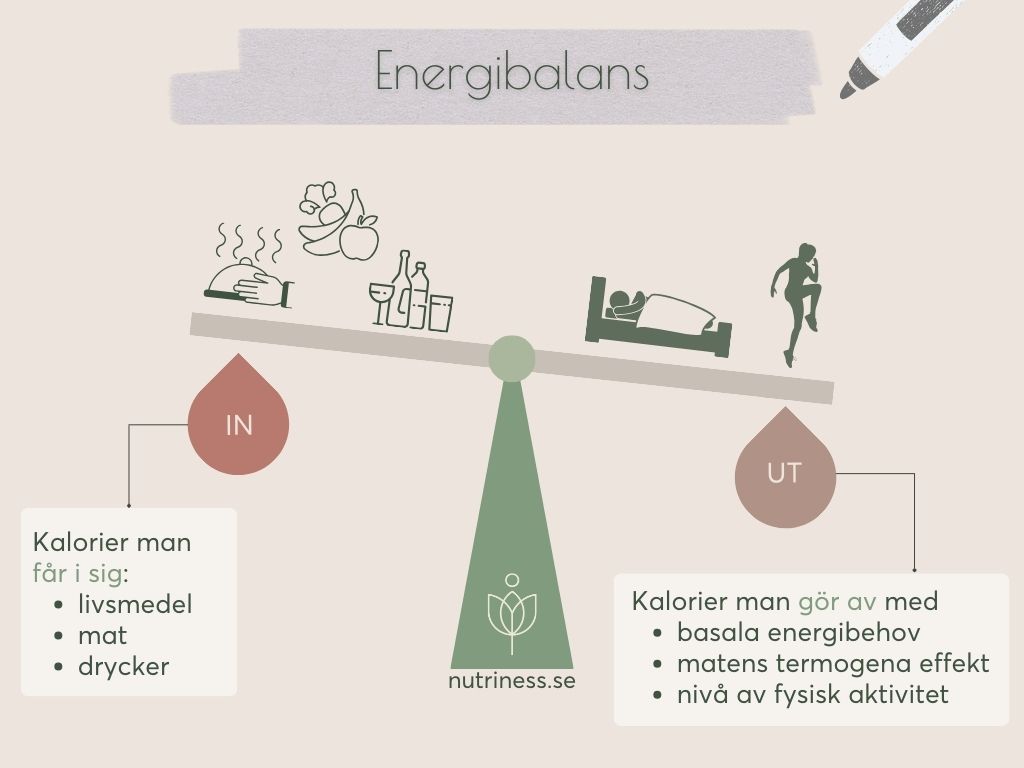 Energibalans som utgör grundregeln till effektiv viktnedgång